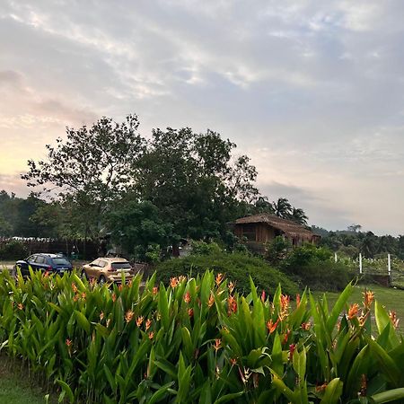 Moon Nest Hotel Dhoapalong Exterior photo